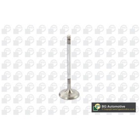 Comprar Válvula de admisión de BGA V851291 a bajo precio de 7,16 €