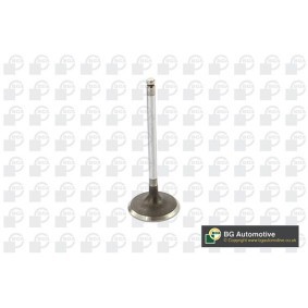 Einlaßventil von BGA für RX (MHU3_, GSU3_, MCU3_) günstig online kaufen