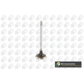 Auslaßventil von BGA für RX (MHU3_, GSU3_, MCU3_) günstig online kaufen