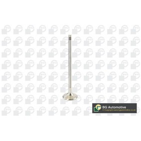Comprar Válvula de escape de BGA V969602 a bajo precio de 15,22 €