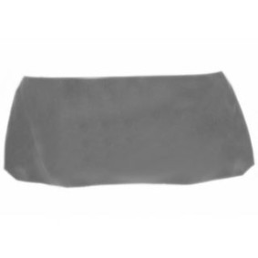 Motorhaube 8321660