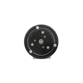 Acquista Compressore aria condizionata da ALANKO 10550177 a buon mercato per soli 167,72 €