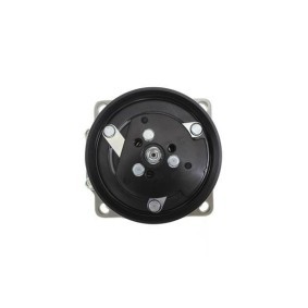 Acquista Compressore aria condizionata da ALANKO 10550388 a buon mercato per soli 230,34 €