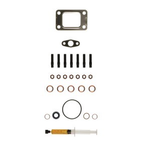 Acquista Kit montaggio turbocompressore da ALANKO 10920336 a buon mercato per soli 22,36 €