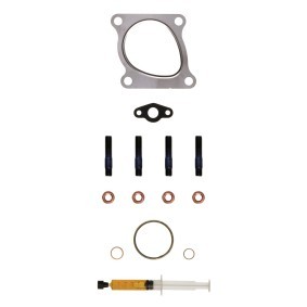 Acquista Kit montaggio turbocompressore da ALANKO 10920487 a buon mercato per soli 64,92 €
