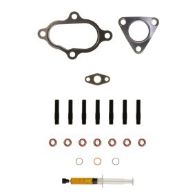 Acquista Kit montaggio turbocompressore da ALANKO 10920511 a buon mercato per soli 65,39 €