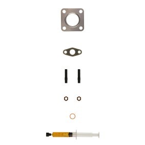 Compre Kit de montagem, turbocompressor da ALANKO 10920544 a um preço baixo por 19,52 €