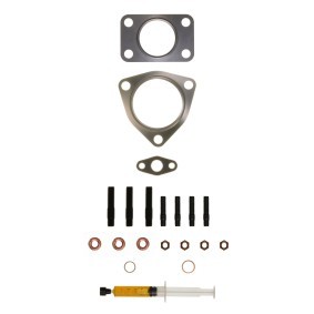 Compre Kit de montagem, turbocompressor da ALANKO 10920546 a um preço baixo por 38,28 €
