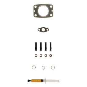 Compre Kit de montagem, turbocompressor da ALANKO 10920549 a um preço baixo por 23,66 €