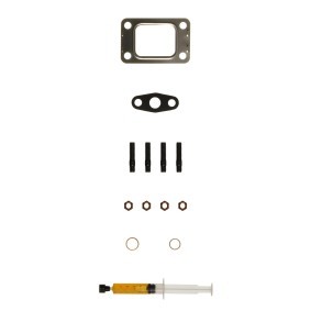 Compre Kit de montagem, turbocompressor da ALANKO 10920592 a um preço baixo por 19,52 €