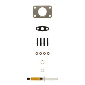 Compre Kit de montagem, turbocompressor da ALANKO 10920596 a um preço baixo por 19,52 €