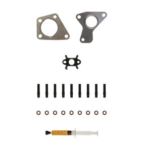 Acquista Kit montaggio turbocompressore da ALANKO 10920613 a buon mercato per soli 35,52 €