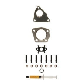 Acquista Kit montaggio turbocompressore da ALANKO 10920646 a buon mercato per soli 30,00 €