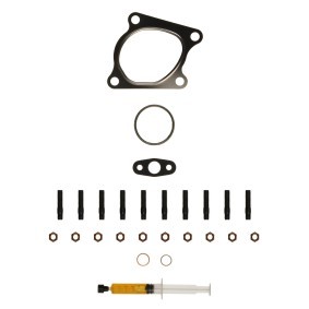 Acquista Kit montaggio turbocompressore da ALANKO 10920682 a buon mercato per soli 30,06 €