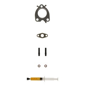 Acquista Kit montaggio turbocompressore da ALANKO 10920708 a buon mercato per soli 18,55 €
