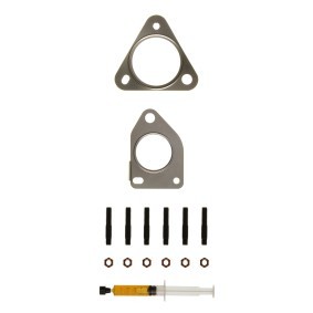 Acquista Kit montaggio turbocompressore da ALANKO 10920717 a buon mercato per soli 30,06 €