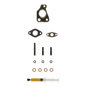 Compre Kit de montagem, turbocompressor da ALANKO 10920756 a um preço baixo por 36,06 €