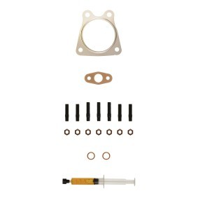 Compre Kit de montagem, turbocompressor da ALANKO 10920775 a um preço baixo por 19,52 €