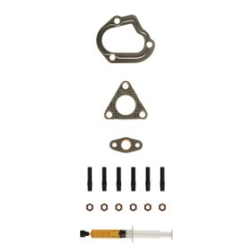 Acquista Kit montaggio turbocompressore da ALANKO 10920791 a buon mercato per soli 31,26 €