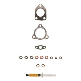 Compre Kit de montagem, turbocompressor da ALANKO 10920797 a um preço baixo por 24,64 €