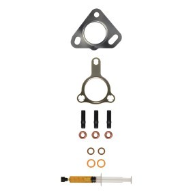 Acquista Kit montaggio turbocompressore da ALANKO 10920915 a buon mercato per soli 30,06 €