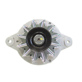 Lichtmaschine 11441365