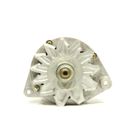 Lichtmaschine 11441665