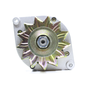 Lichtmaschine 11442568