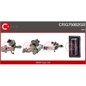 Kjøp Servopumpe av CASCO CSP67103GS til den lave prisen 10401,92 NOK