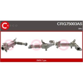 Kjøp Servopumpe av CASCO CSP67104GS til den lave prisen 9284,03 NOK