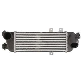 Köp Intercooler av THERMOTEC DA05001TT till det låga priset 1269,62 kr