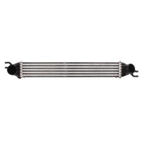 Köp Intercooler av THERMOTEC DAB008TT till det låga priset 996,37 kr
