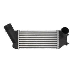 Köp Intercooler av THERMOTEC DAC001TT till det låga priset 977,69 kr