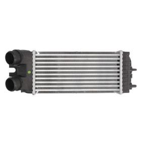 Köp Intercooler av THERMOTEC DAC002TT till det låga priset 1606,86 kr