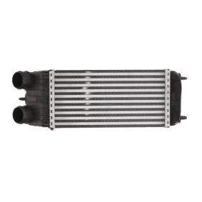 Köp Intercooler av THERMOTEC DAC003TT till det låga priset 1810,54 kr