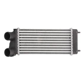 Köp Intercooler av THERMOTEC DAC004TT till det låga priset 1080,86 kr