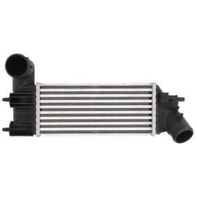 Köp Intercooler av THERMOTEC DAC005TT till det låga priset 1219,22 kr