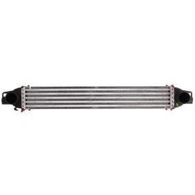 Köp Intercooler av THERMOTEC DAC008TT till det låga priset 1298,93 kr