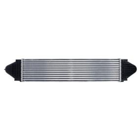 Kjøp Intercooler av THERMOTEC DAI001TT til den lave prisen 1534,36 NOK