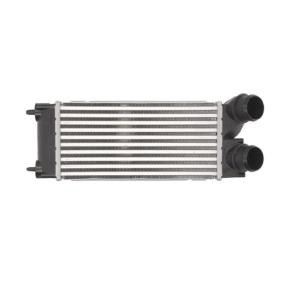 Köp Intercooler av THERMOTEC DAP002TT till det låga priset 739,08 kr