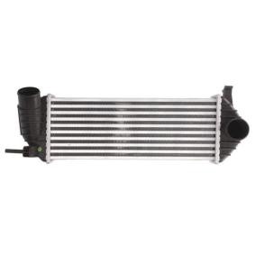 Köp Intercooler av THERMOTEC DAR006TT till det låga priset 1212,52 kr