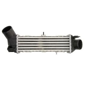 Achetez des Intercooler THERMOTEC DAT002TT à prix pour 84,73 €