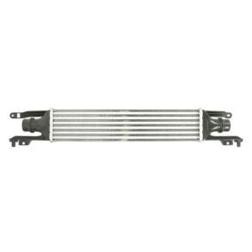Köp Intercooler av THERMOTEC DAX010TT till det låga priset 1252,01 kr