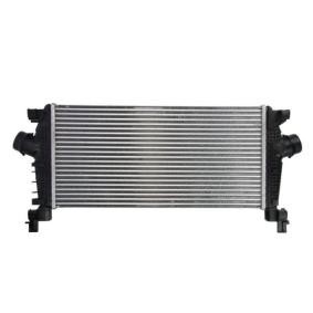 Köp Intercooler av THERMOTEC DAX012TT till det låga priset 1038,30 kr