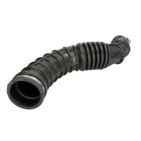 Ansaugschlauch, Luftfilter DCR191TT RENAULT SCÉNIC von THERMOTEC
