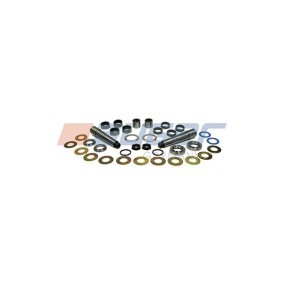Achetez des Kit d'assemblage, pivot de fusée d'essieu AUGER 55216 à prix pour 226,75 €