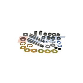 Achetez des Kit d'assemblage, pivot de fusée d'essieu AUGER 55648 à prix pour 169,53 €
