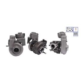 Turbolader LTRPA4913507312 von LUCAS günstig für 526,53 € online kaufen