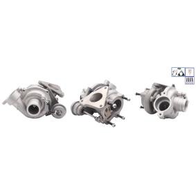 Compre Turbocompressor da LUCAS LTRPA53049880011 a um preço baixo por 448,15 €