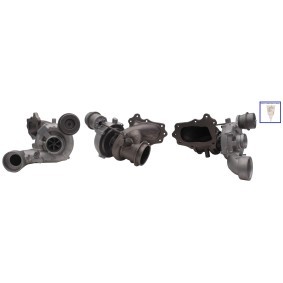 Turbolader LTRPA53049880094 von LUCAS günstig für 527,81 € online kaufen